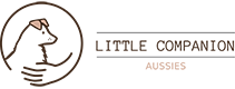 Little Companion Aussies
